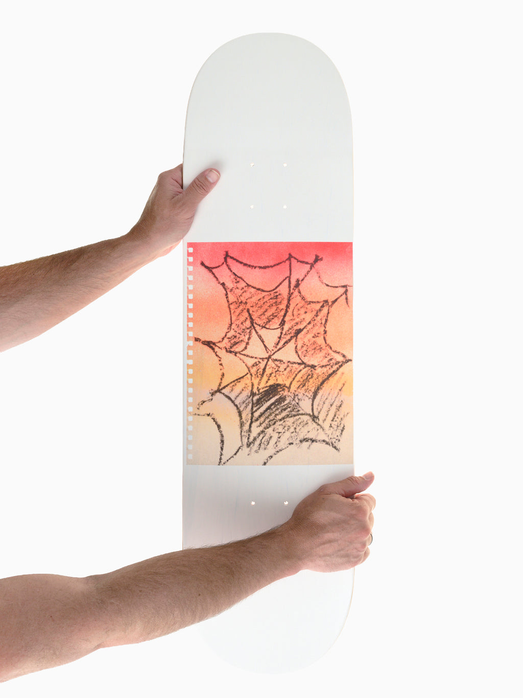 SURF WEBS